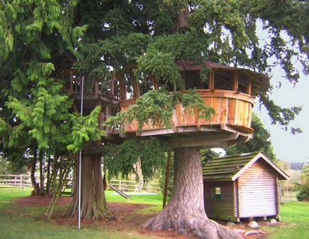 Як зробити будинок на дереві своїми руками технологія будівництва будинку на дереві дізнайтеся