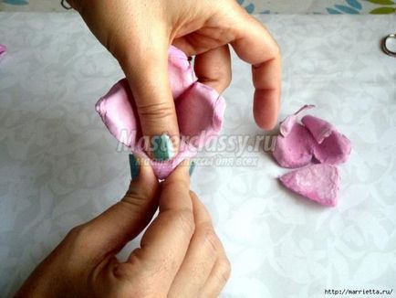 Cum să faci trandafiri din tăvile de ouă