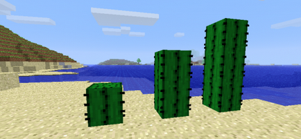 Cactus în minecraft