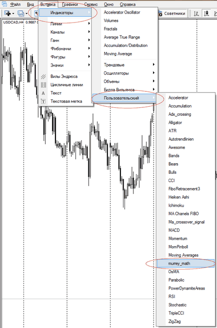 Cum să setați indicatorul în metatrader 4