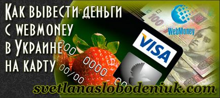 Как да се теглят пари от WebMoney в Украйна е в опасност - на автора на блога Светлана Slobodenyuk