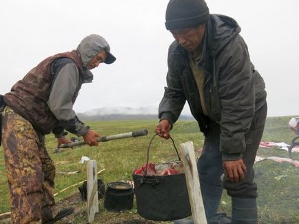 Як забивають оленя на Чукотці