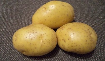 Картопля - джувел опис сорту, фото і характеристики насіннєвої картоплі