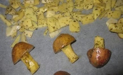 Cartuș de cartofi