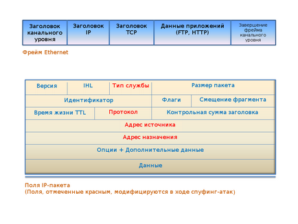 Cyberatactele în pachetele de falsificare a datelor