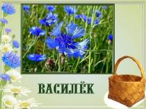 Класні години - класному керівнику