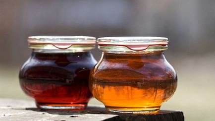 Maple SAP (gyűjtése juhar nedv) juhar sap