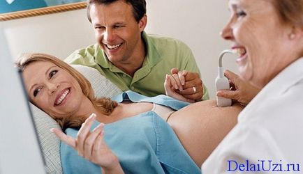 Коли робити УЗД при вагітності і скільки разів