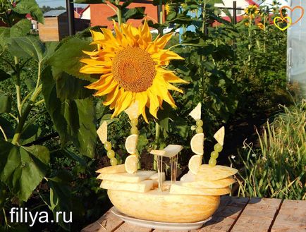 Compoziții de fructe și legume fotografie de compoziții originale