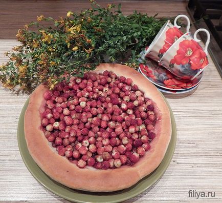 Compoziții de fructe și legume fotografie de compoziții originale