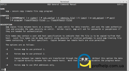 A fájlok másolása a hálózaton scp segítségével jelszó nélkül, profhelp
