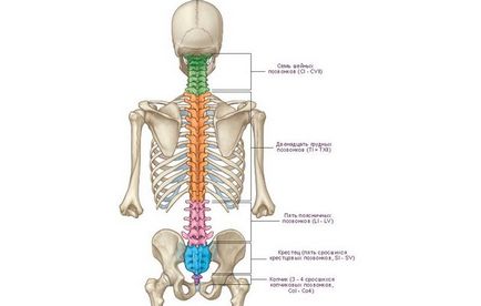 Sindromul lombar simptom radiologic, tratament, cum să scadă durerea severă