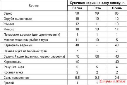 Etetés a csirkék - Baromfi - Home Moms