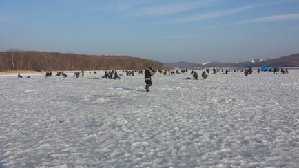 Smelt (zubar, malorotka, pisuch), pescuitul în Vladivostok