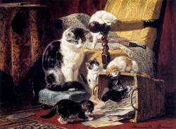 Macskák festés