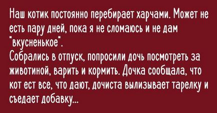 Кот-клептоман тягне додому все, що погано лежить! За пару років він вкрав 600 речей!