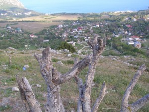 Краснокам'янка - притулок для скелелазів