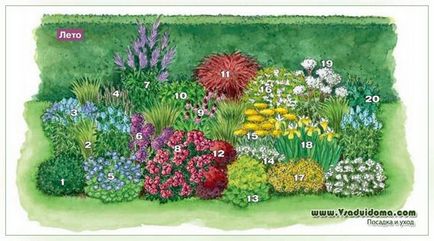 Grădină de flori colorate pentru două sezoane (vară-toamnă de înflorire), un loc despre o grădină, o reședință de vară și plante de apartament