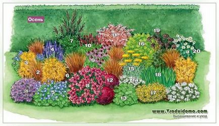 Színes virág ágy két évszak (nyári-őszi virágzás), a helyszínen a kertben, ház és a szobanövények