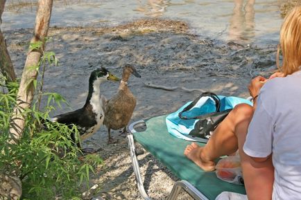 Creta cu mașina - lacul kurna, orașul este repetitiv