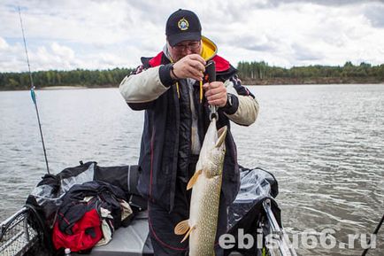 Vásárlás csalik Rapala szuper olcsó online áruház ebisu66