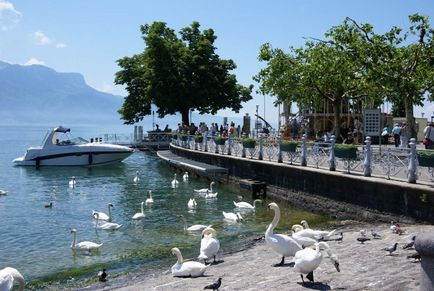 Tratament, odihnă în montre, vevey, elveția, clinica biotonus, lemana, la prairie, revitalizarea,