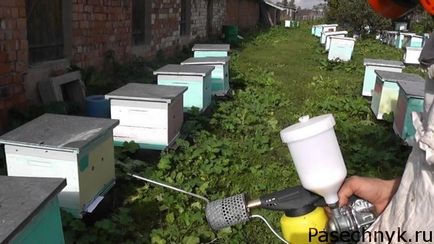 Tratamentul albinelor cu soluții terapeutice și funcționarea canalelor de fum