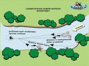 Риболов в дънери 