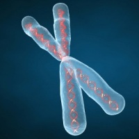 Emberek-mutánsok - hiba a genomban