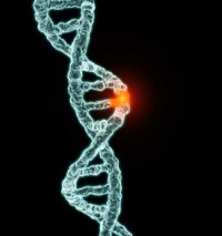 Люди-мутанти - збій в геномі