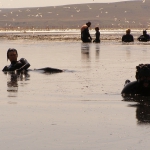 Lacul martian în Crimeea cum să ajungi cu mașina