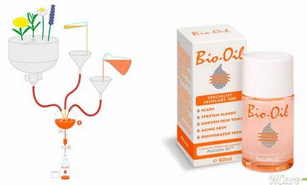 Масло bio oil від розтяжок склад, відгуки, використання при вагітності