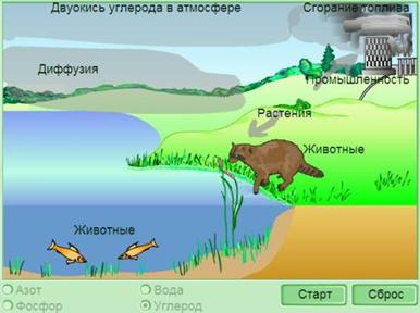 моделі уроків