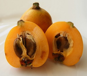 Medlar, tratare cu medlar