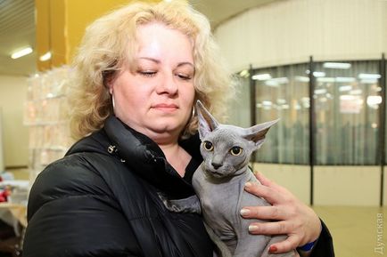 O expoziție de pisici a fost deschisă la terminalul rus de mare