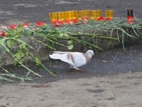 Народна воля »цілі і засоби, думка, суспільство, аргументи і факти