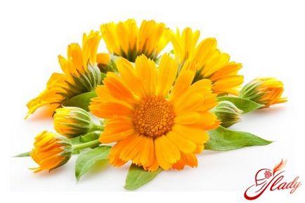 Tinctura de calendula impotriva matretii