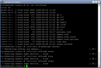 Configurarea serverului dns de legare