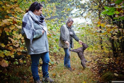 Veretlen Olaszország, Milánó útmutató - vadászat szarvasgomba Piemont