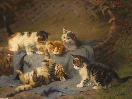 Німецький художник-анімаліст julius adam і його затишні картини з кішками