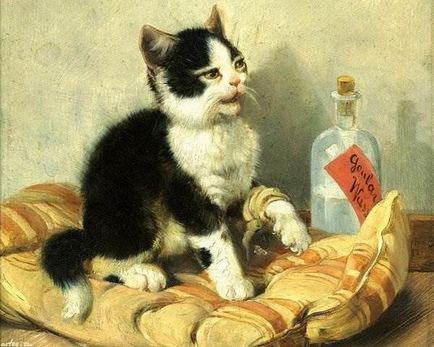 Német állati művész julius Ádám és hangulatos képet a macskák