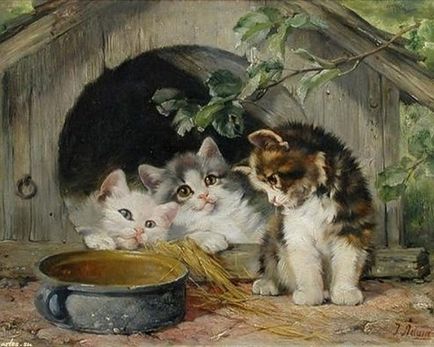 Germanul artist-animalist julius adam și picturile lui confortabile cu pisici