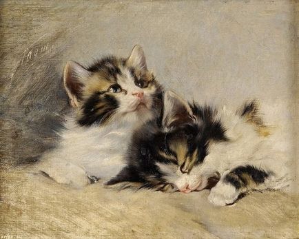 Germanul artist-animalist julius Adam și picturile sale confortabile cu pisici