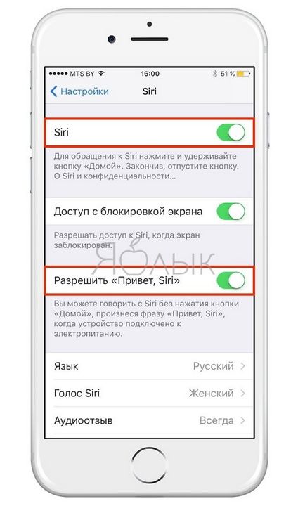 Чи не працює siri на iphone і ipad, як полагодити, новини apple