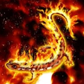 Вогняна саламандра - представник стихії вогню здатна до регенерації втрачених органів
