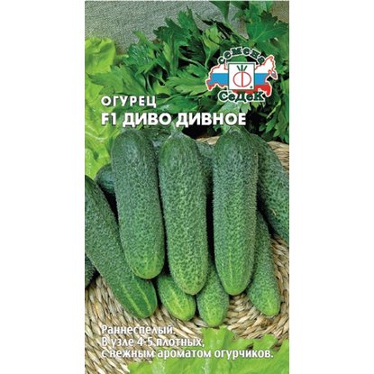 Castroul miracol divin f1 sediu cumpăra Sankt-Petersburg, Moscova, Ekaterinburg, Kazan, Nizhny Novgorod cu