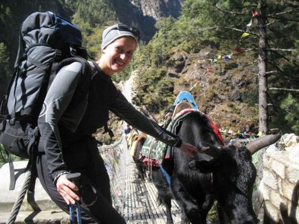 Omsk a aflat în Nepal, de ce toate pisicile au plecat, călătoreau, mc2