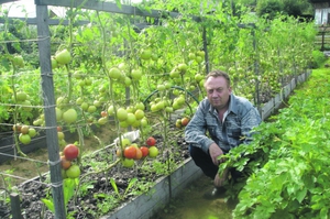 Descriere tehnologie mitlayderovskoy cultivarea plantelor într-o creastă îngustă în grădină