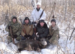 Caracteristicile și tipurile de vânătoare de mistreți în timpul iernii