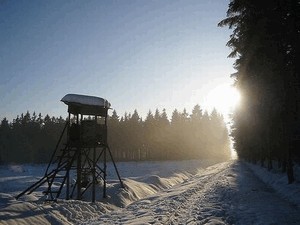 Особливості та види полювання на кабана взимку